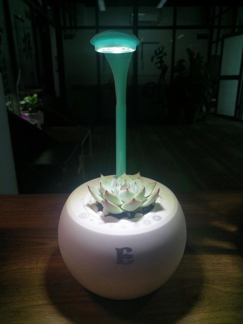 万圣夜,大多数城市都在闹鬼