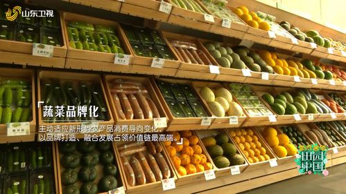 田园中国 探秘寿光 分享蔬菜之乡的成长故事