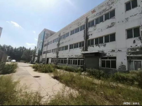大连市有一座大型废弃工厂第二次拍卖,被人以716.8万元竞得