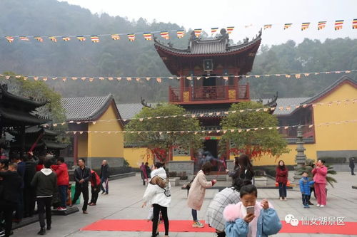 狗年旺旺迎新春, 大年初一圣集寺邀您一起祈福纳祥