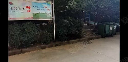 圣大国际