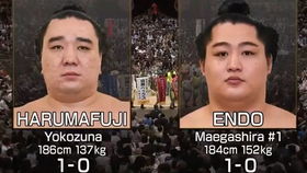 幕内力士远藤圣大 情热大陆 低清无字幕版