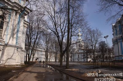 在"宫殿”里的院系--圣大国际关系和社会系