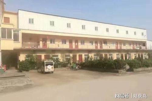驻马店市遂平县有一座大型工厂拍卖,价格降到257.5万元也没人要