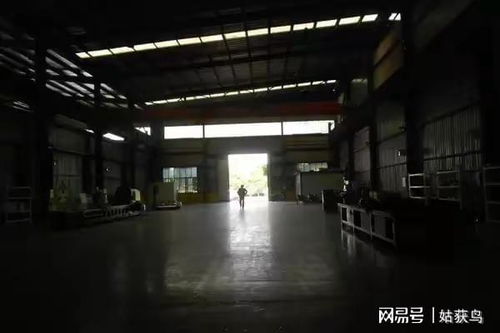 衡阳市有一座大型工厂第二次拍卖,被人以1046万元的高价拿下了